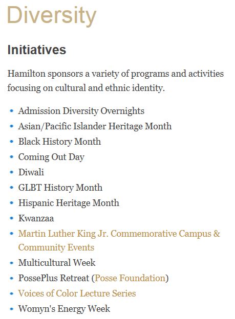 Hamilton Diversity Initiatives