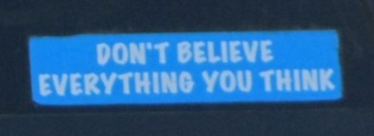 Bumper Sticker - Portland OR - don't believe what you think