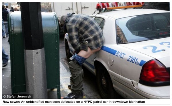 http://www.dailymail.co.uk/news/article-2046586/Occupy-Wall-Street-Shocking-photos-protester-defecating-POLICE-CAR.html?ito=feeds-newsxml