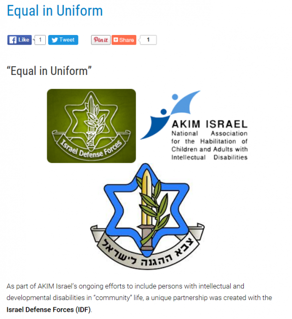 Equal in Uniform, IDF logos