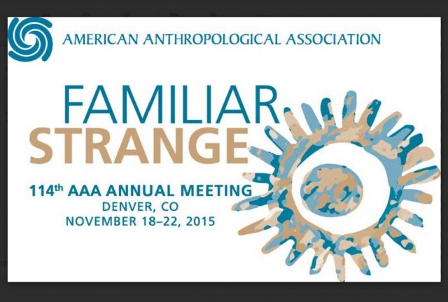 American Anthropological Association 2015 Annual Meeting Logo - w Border