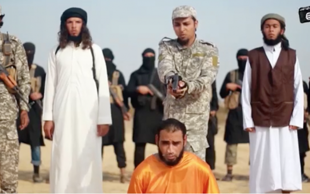 https://www.timesofisrael.com/islamic-state-in-sinai-declares-war-on-hamas-in-gruesome-execution-video/