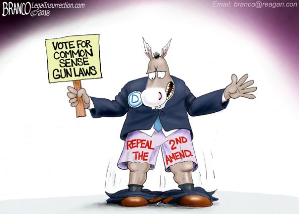 https://c3.legalinsurrection.com/wp-content/uploads/2018/03/Anti-2nd-Rev-600-LI-594x425.jpg