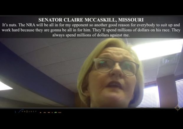 Image result for claire mccaskill project veritas