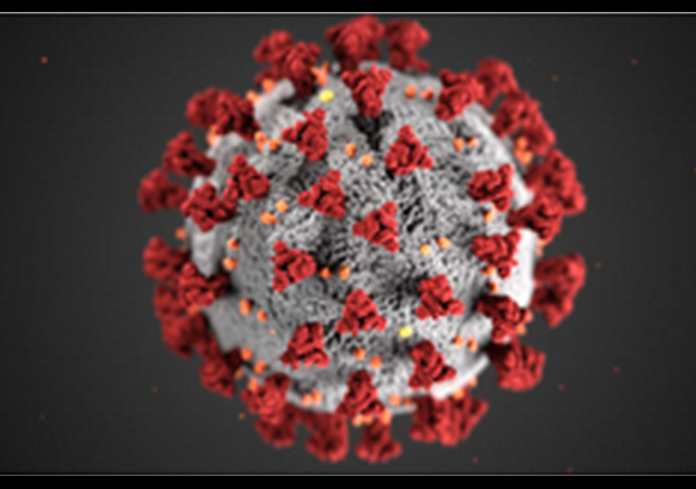 CDC Image https://www.cdc.gov/coronavirus/2019-ncov/images/2019-coronavirus.png