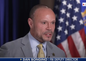 Report: Bongino Thinking of Resigning Over Epstein Files Fiasco